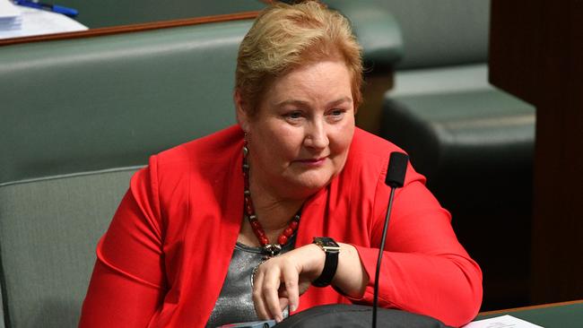 Liberal Member for Gilmore Ann Sudmalis won’t contest the next federal election. Picture: AAP