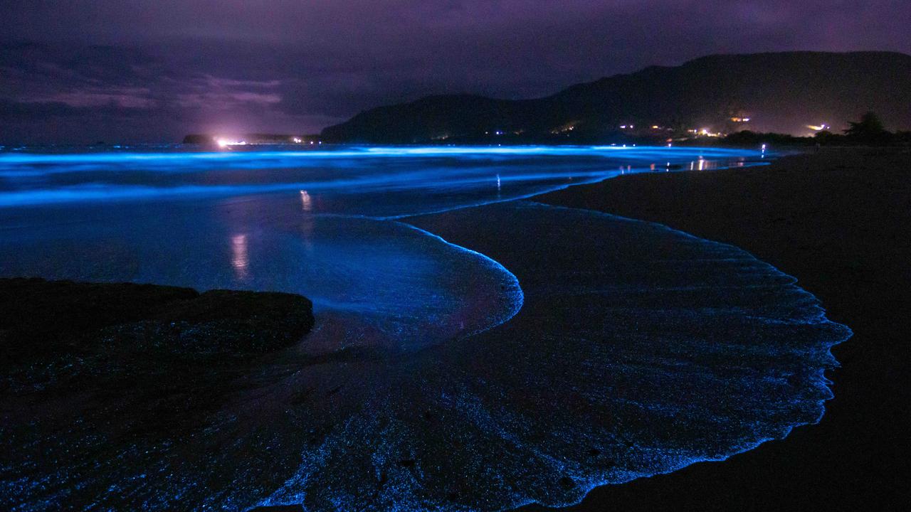 Bioluminescence event on Tasman Peninsula at the Tessellated Pavements on Christmas Day. Picture: Robbie Moles