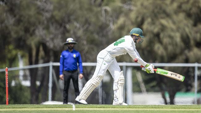 Tim Paine is trapped in front to end his short-lived innings. Picture: Eddie Safarik