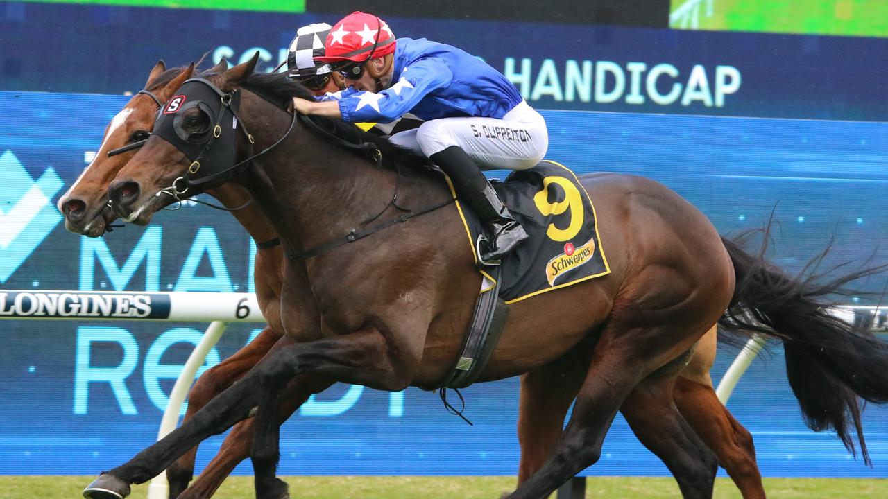 Old Flame won well when resuming at Rosehill back in August. Picture: Grant Guy