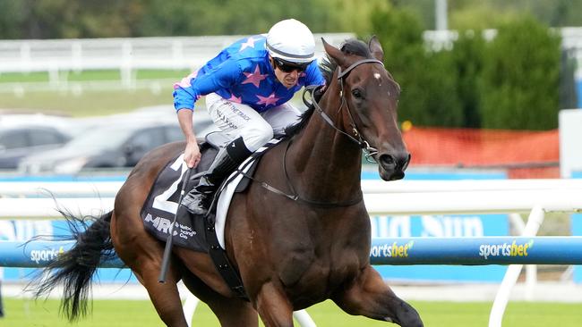 Feroce will attempt to go one better than his Caulfield Guineas result in Saturday's Group 1 Australian Guineas at Flemington. Picture: Racing Photos via Getty Images.