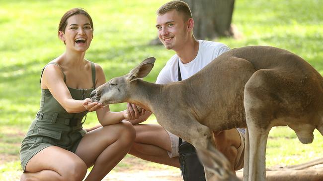 German tourists Celene Folta, 21, and her partner Maik Athenstadt, 21, meet the locals at Lone Pine Koala Sanctuary in Brisbane on Wednesday. Picture: Lyndon Mechielsen