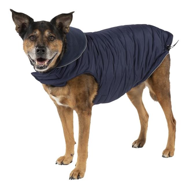 You can guarantee your dog will be cosy and warm in this get-up. Picture: Pet Barn.