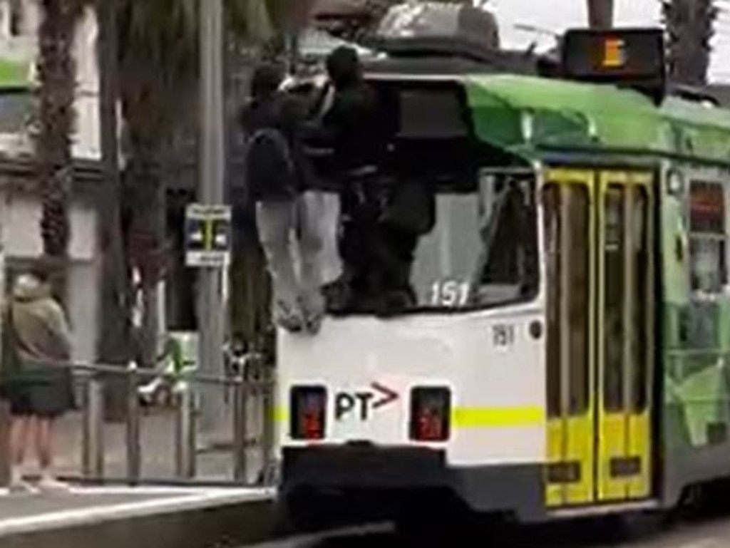 Youths Seen Clinging To The Back Of A Tram In St Kilda The Courier Mail