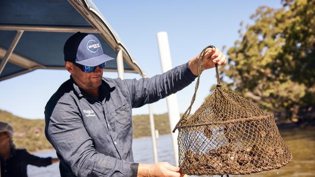 Guide showing guests the pearl lines at the Broken Bay Pearl Farm, Mooney Mooney.