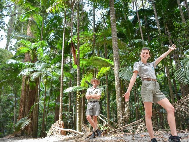 Paradise is back in business after bushfires