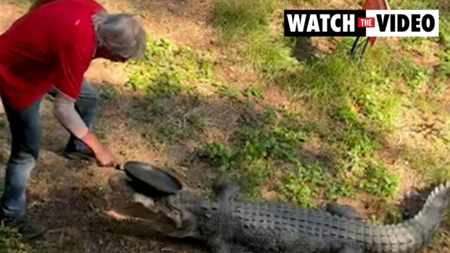 Aussie pub owner takes on croc with pan