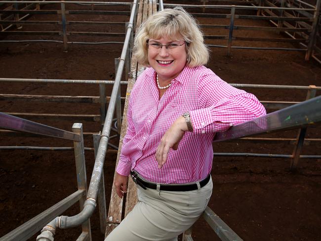 State MP for Warrego Ann Leahy at the Roma Cattle yards, for a story about Country issues. Pics Adam Head