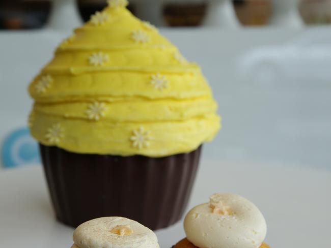 The Classic Cupcake Co. in Mosman. Picture: Virginia Young