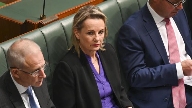 Sussan Ley says Ms Burney misled parliament. Picture: NCA NewsWire / Martin Ollman