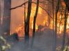 Fire tears through hectares of bushland at Snug Tiers. Photo: Tasmania Fire Service