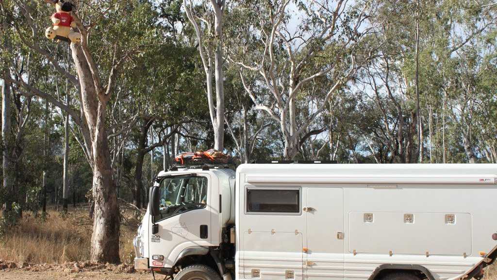 Someone has strung a soft toy high in a tree on the wagon trail west of Springsure. Picture: Nancy Bates