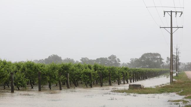 Those affected by flooding in the Riverland are expected to receive compensation. Picture: Dean Martin