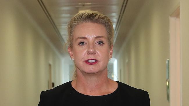 Regional Services Minister Bridget McKenzie.