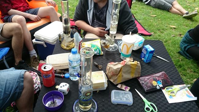 The well-equipped picnickers with their drugs paraphernalia.