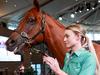 What it costs to buy into a potential Melb Cup winner