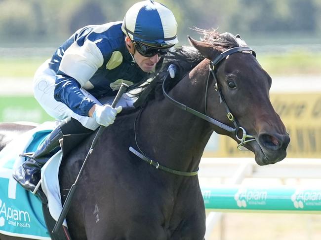 Bold Bastille ridden by Luke Currie wins the Apiam Animal Health VOBIS Gold Rush at Bendigo Racecourse on April 13, 2024 in Bendigo, Australia. (Photo by Scott Barbour/Racing Photos via Getty Images)