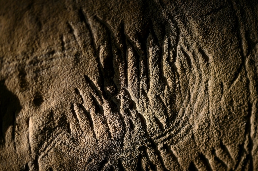 Rarely seen cave art holds prehistoric secrets in France