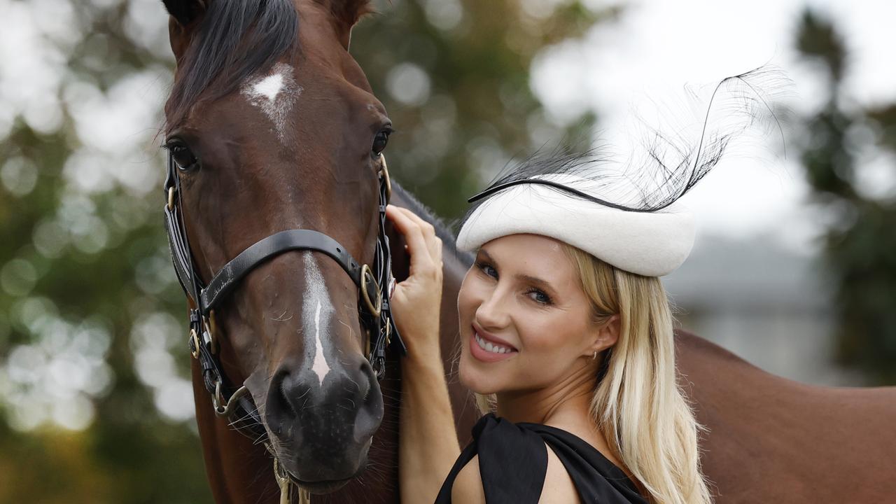 Lady Of Camelot is pre-post favourite for The Sunlight. Picture: Richard Dobson