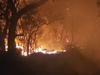 ‘Not safe to return’: Campers evacuated after Otway bushfire
