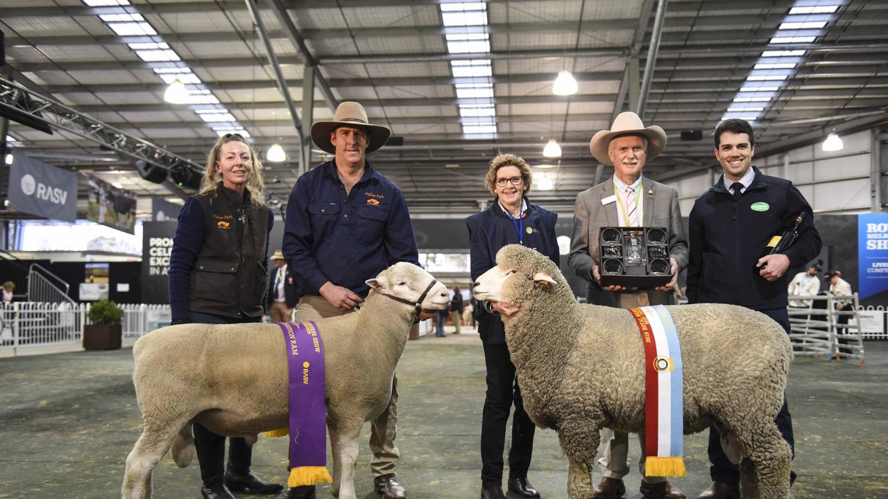 The grand champion and reserve interbreed rams on Sunday, September 22 at the Royal Melbourne Show. Photo: Dannika Bonser