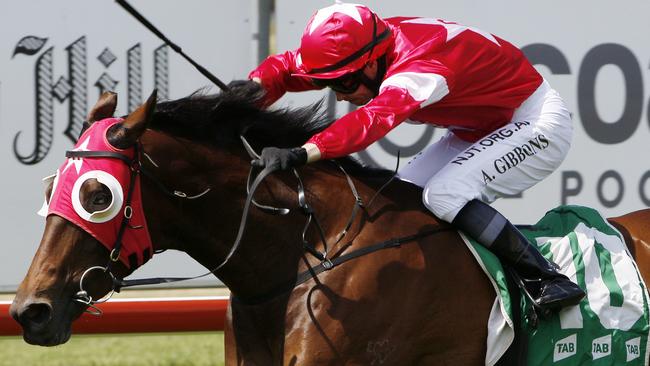 Jockey Andrew Gibbons (pictured) has some good rides at Muswellbrook including the unbeaten Audette. Picture: AAP Image