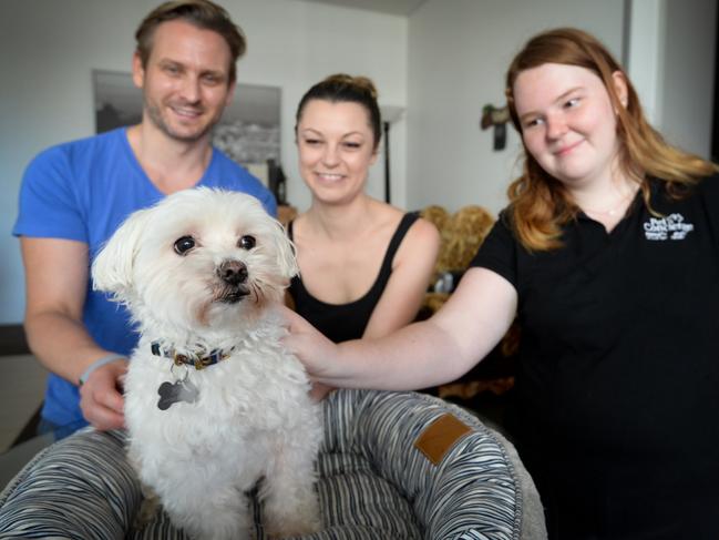 Nathan Bennett and Heidi Carr are happy with the pet concierge service offered at their apartment for their dog Romeo. Pictured with RSPCA vet nurse Scarlett Widdowson. Picture: Jeremy Piper