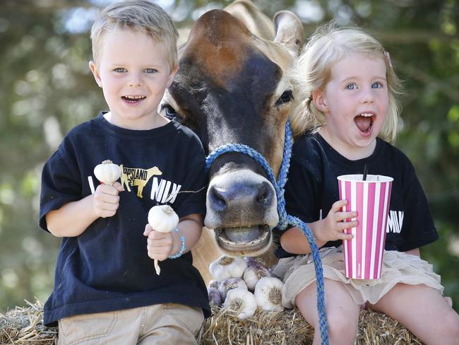 Max, 4, and Clara, 3, have a taste of the garlic milkshake. Picture: David Caird