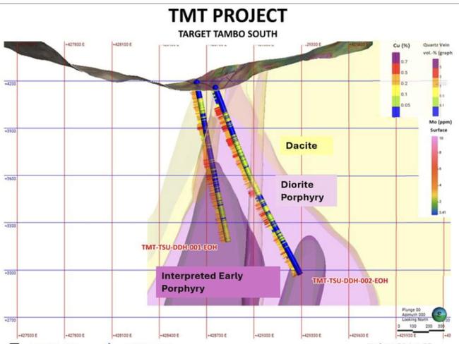 Cross-section of the Tambo South showing the drill paths of the two diamond holes. Pic: Belararox
