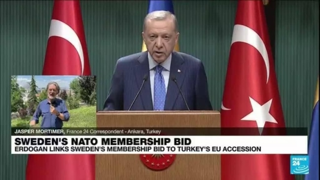 Erdogan Links Sweden’s NATO Bid With Turkey’s EU Membership | News.com ...