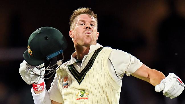 David Warner jumps for joy during his triple century in Adelaide.