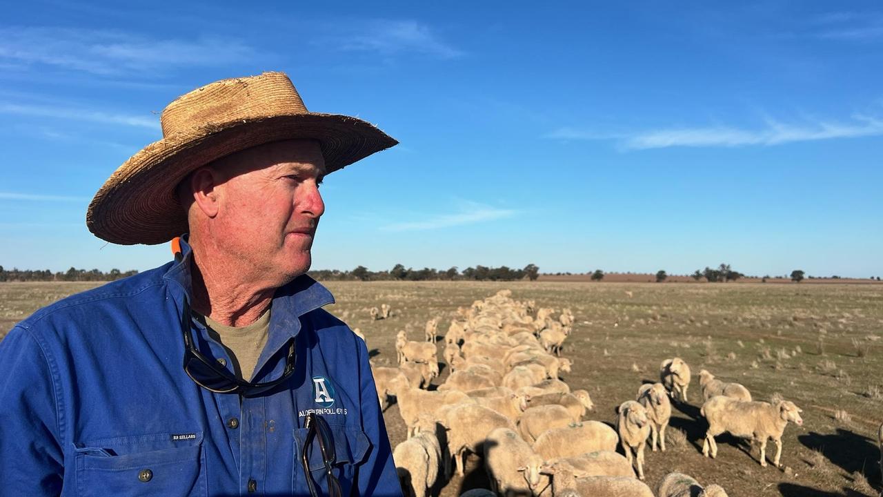 Andrew Green is the owner of Aloeburn, a Poll Merino stud in Boree Creek, just west of Wagga Wagga. The property has received significantly lower-than-average rainfall throughout early 2025, and livestock are struggling as a result., Picture: Supplied