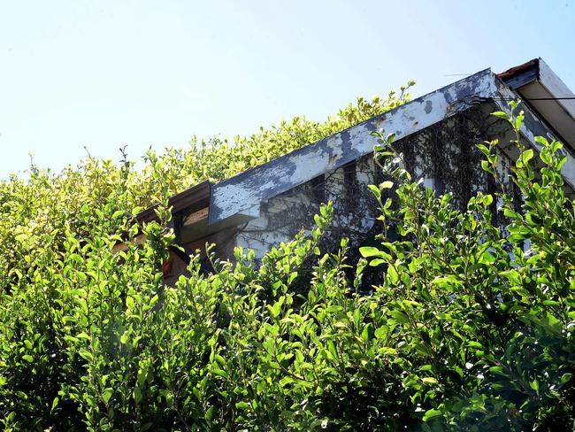 The Bobolas hoarder house is dilapidated and has vegetation growing on the roof. Picture: John Appleyard