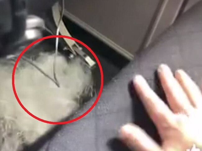 ‘Foul’: Gross find on Qantas plane