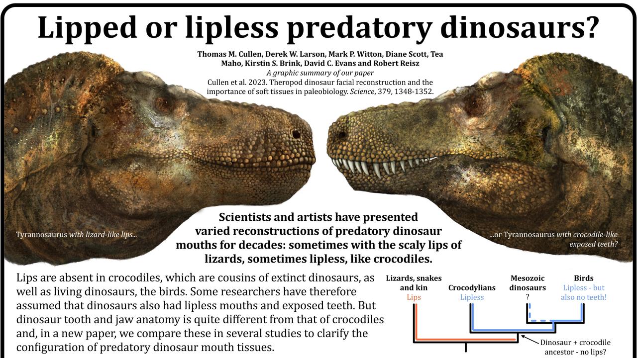 T. rex had lips, upending its enduring pop culture image