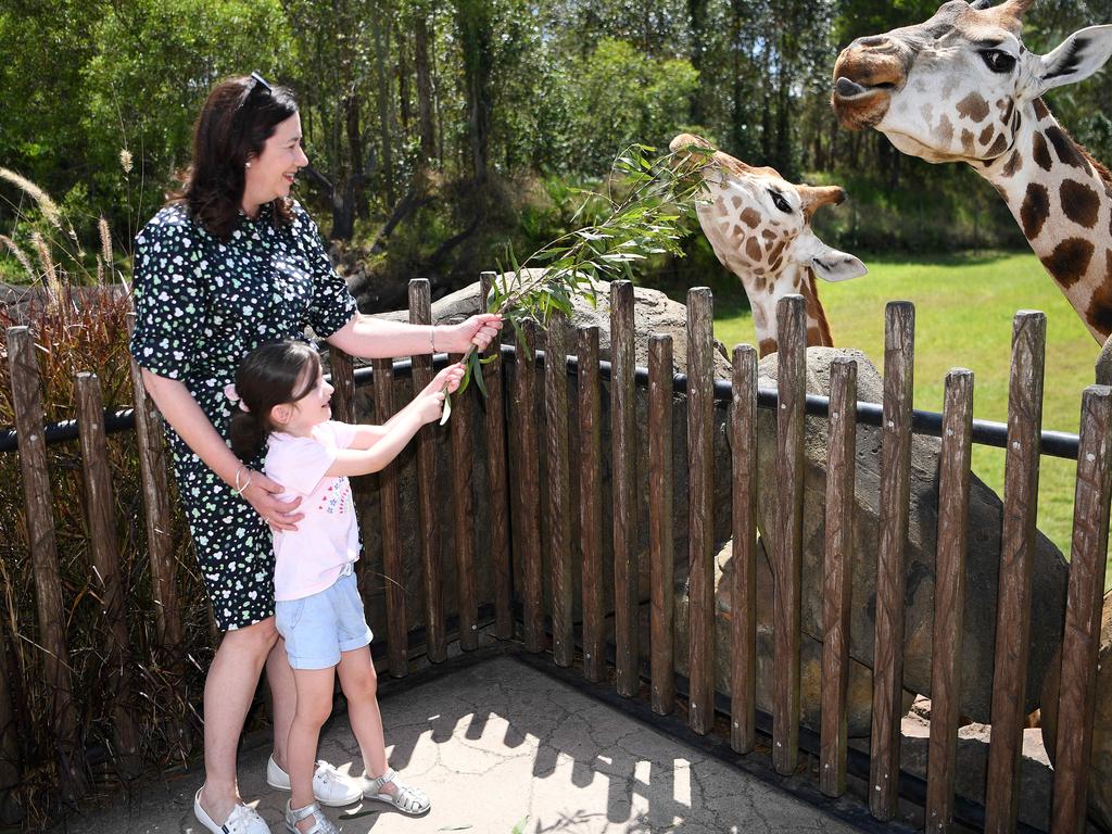 Qld Premier Annastacia Palaszczuk and her 4 year-old niece Emma feed a giraffe during a visit to Australia Zoo. Picture: NCA NewsWire / Dan Peled