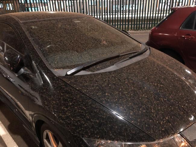 A dust storm has hit Sydney covering everything in a orange film. Cars parked at Campbelltown Train Station were covered as plumes of dust blew across western Sydney. Picture: David Campbell