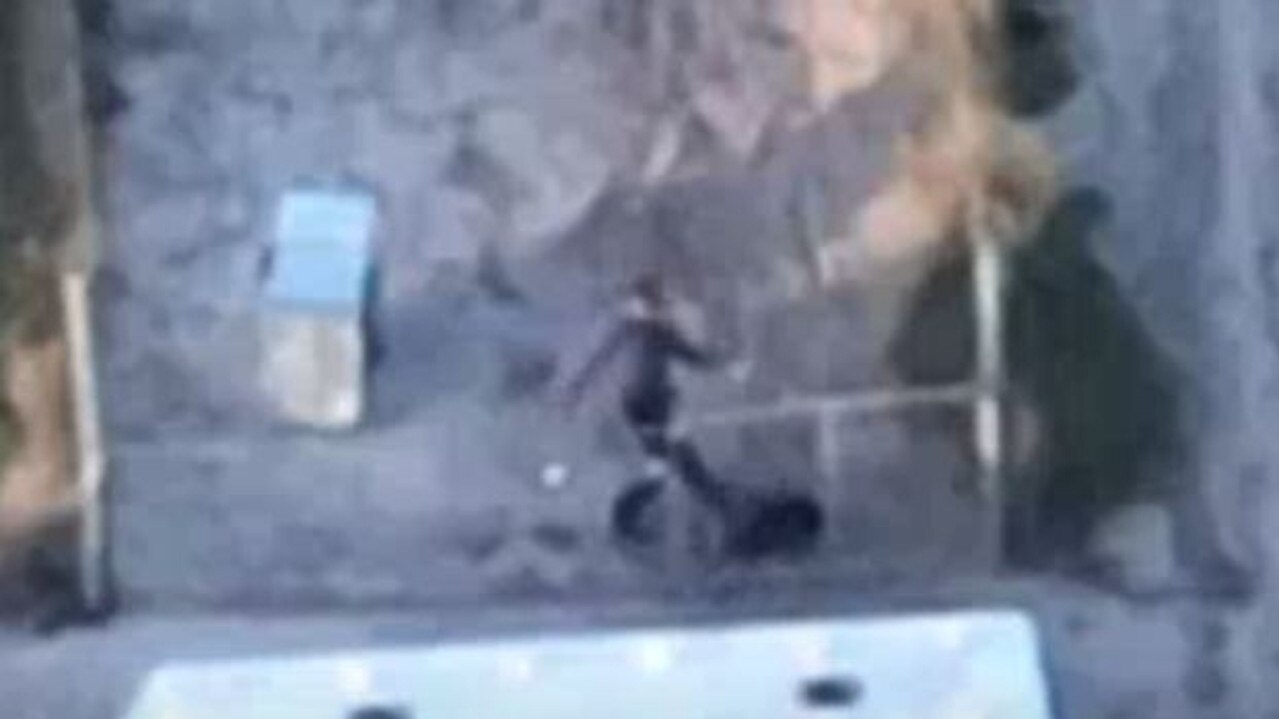The footage allegedly shows a man kicking a dog. Picture: ABC