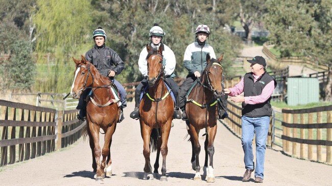 David Hayes' property in Euroa the home of Lindsay Park Racing.