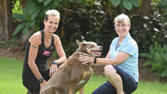 Gold Coast dog masseuse Jayne Horner says dogs can benefit greatly from massage. Pictured at client Ingrid Irwin's home in Nerang. Picture: Lawrence Pinder