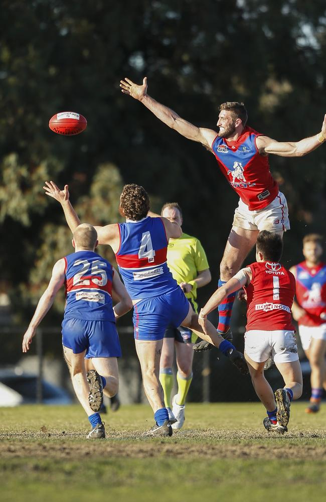 The ball drops nicely for Doggie Nick Halliday in a ruck contest with Colts big man Matthew Dalla-Libera.