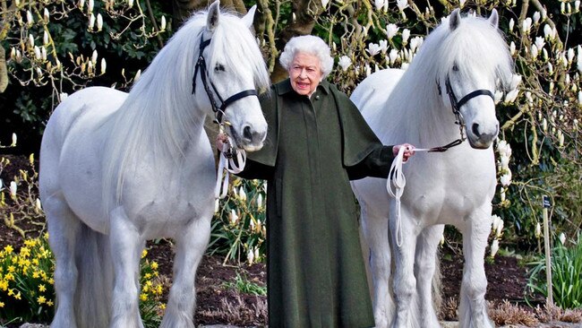 The Queen posed with two fell ponies as she celebrated her 96th birthday. Picture: Supplied