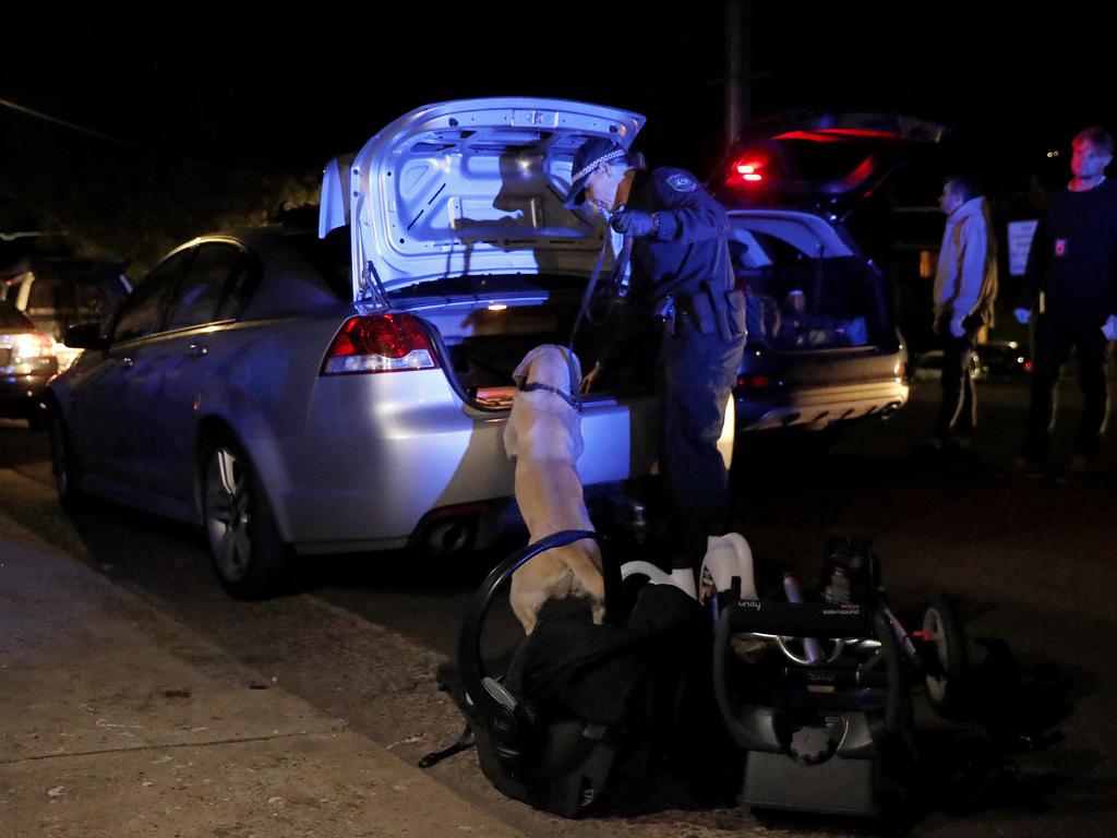 Police drug sniffer dog searching a car at about 8.30pm on Friday (14 May 2021). Officers stopped a Holden Commodore at Fletcher Street, Bondi, locating 8g of cocaine in 14 separate bags, $150 cash and a mobile phone. Picture: Jonathan Ng