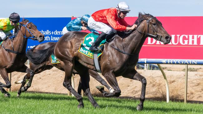 Wings Of Song could make a winning return at Cranbourne on Saturday. Picture: Racing Photos via Getty Images