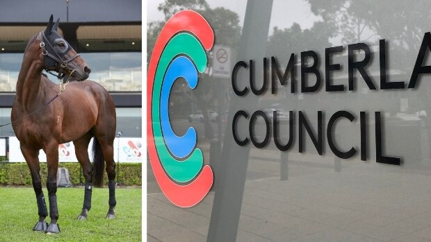 Cumberland Council has voted to ensure it stays as a rule that the mayor be addressed as Mr or Madam before their title