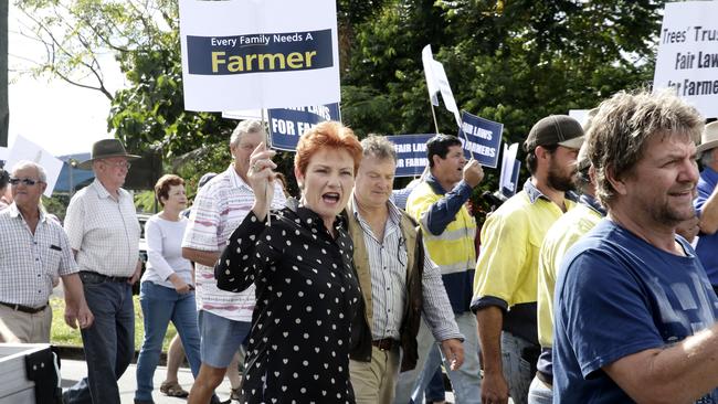 Senator Pauline Hanson were among about a hundred people protesting outside Queensland Treasurer Curtis Pitt's office over proposed vegetation management reforms. Picture: Anna Rogers