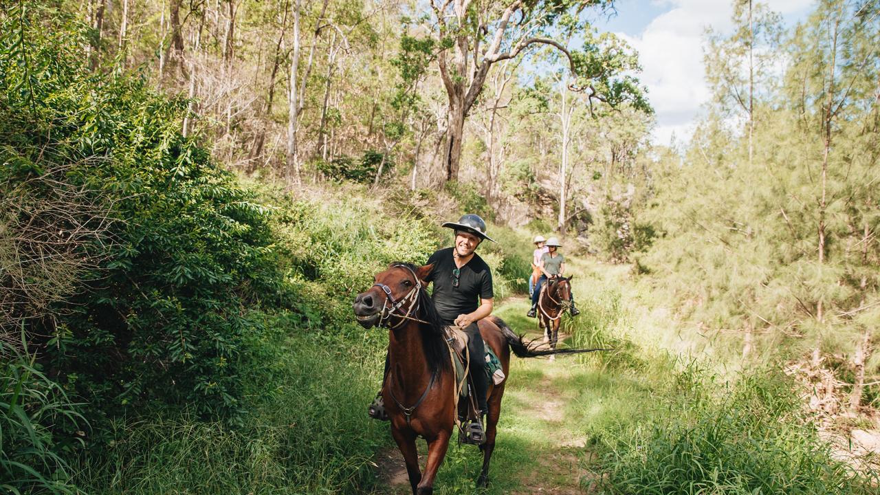 Strangers help buy water for horses at Fordsdale Farmstay and Horseback ...