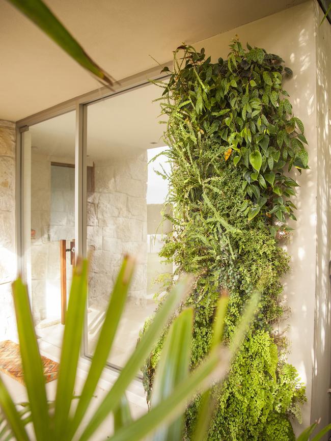 Greenwalls are increasingly popular for apartments.