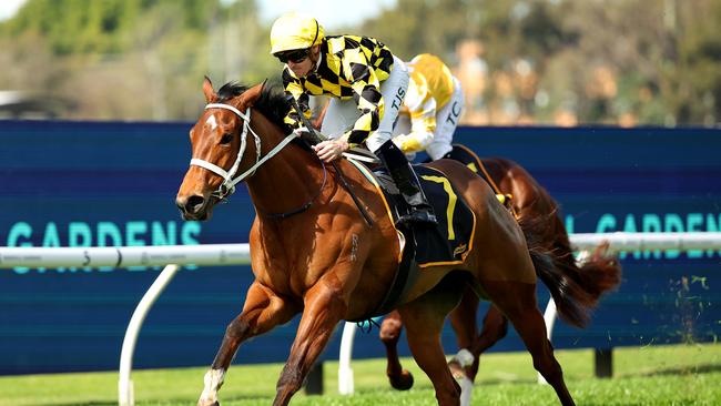 Autumn Glow is favourite in the Up And Coming Stakes. Picture: Jeremy Ng/Getty Images