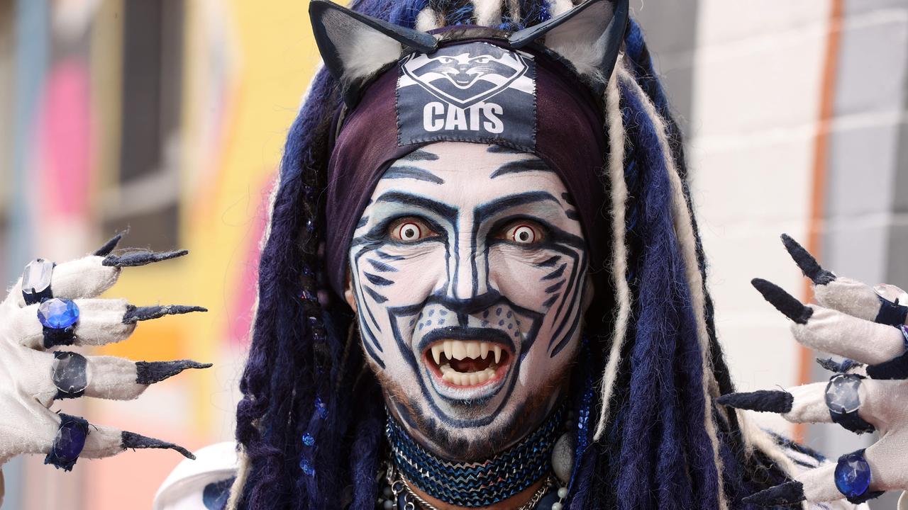 Kind deed scores Catman new fangs after cruel theft